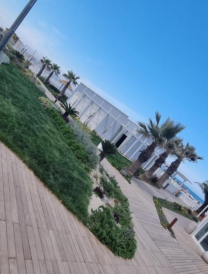 Hotel Crisvan ريميني المظهر الخارجي الصورة